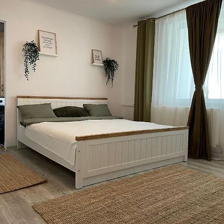 Carol Apartament'S Timisoara Exterior foto