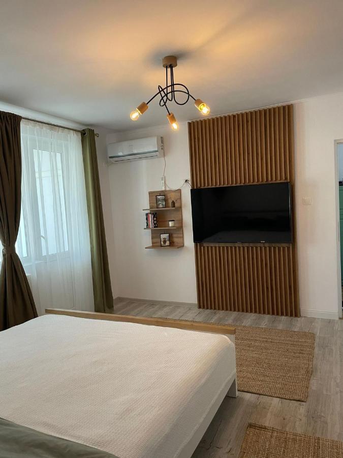 Carol Apartament'S Timisoara Exterior foto