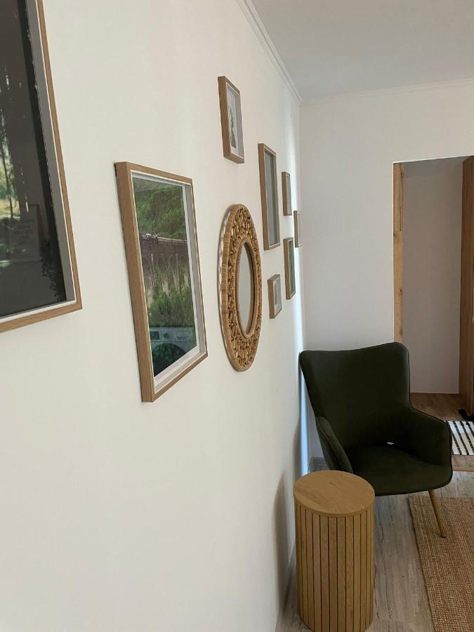 Carol Apartament'S Timisoara Exterior foto