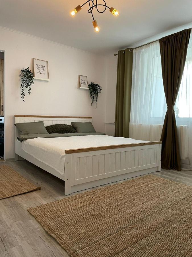 Carol Apartament'S Timisoara Exterior foto